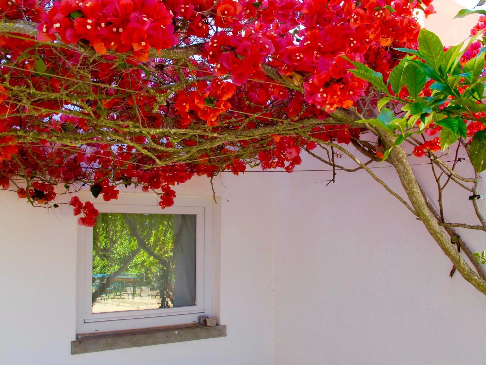 Seaya Villas Cascais Quarto foto